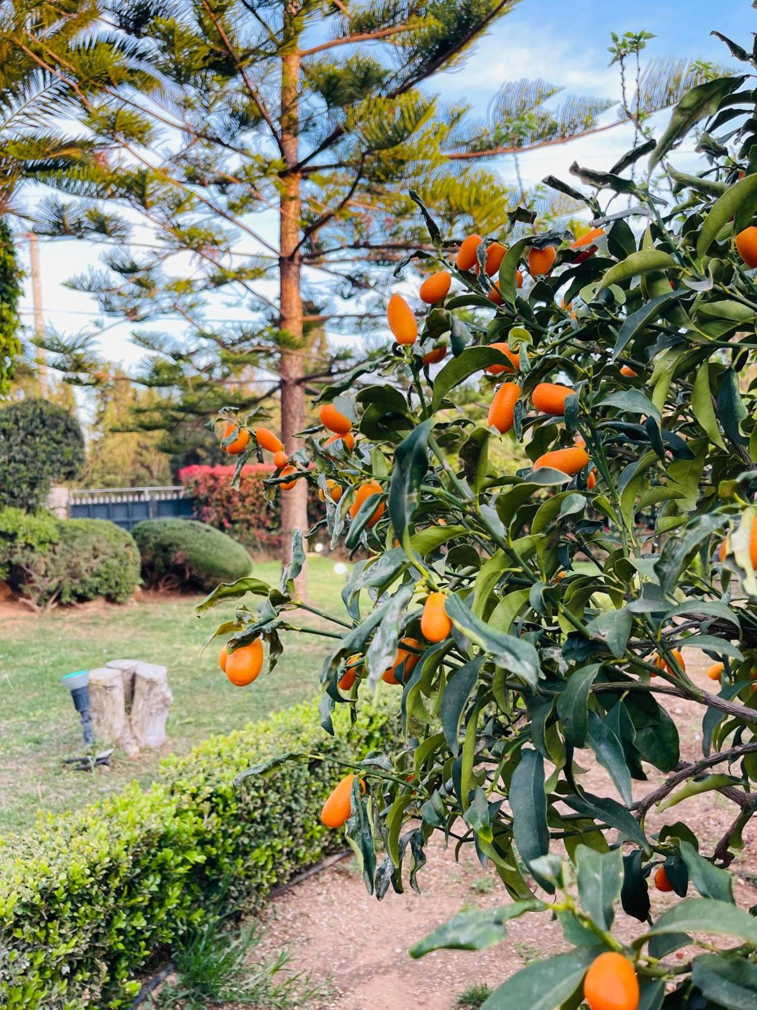 Erotospilia Porto Rafti Near The Athens Airport 아파트 외부 사진